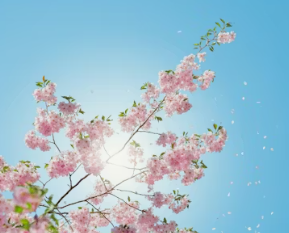 비타민d 하루 권장량 먹는법