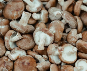 비타민D 부족 증상 섭취방법 많은 음식