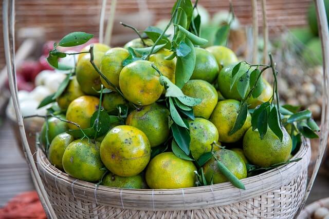 귤 효능 보관법