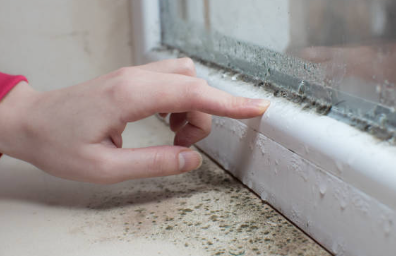 곰팡이 원인 결로