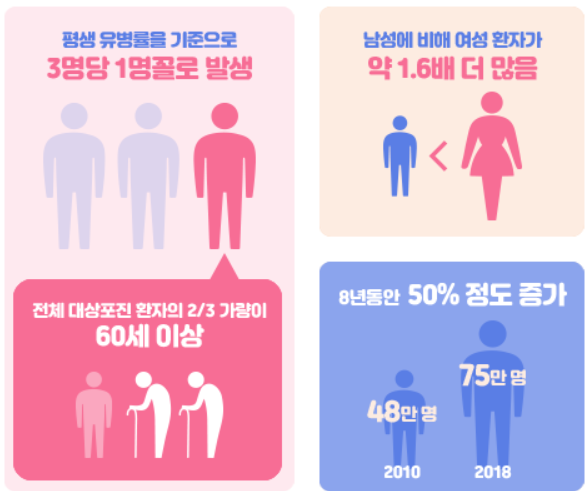 대상포진발병률