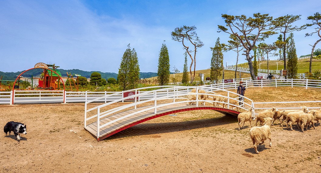 증평 블랙스톤 벨포레(2)