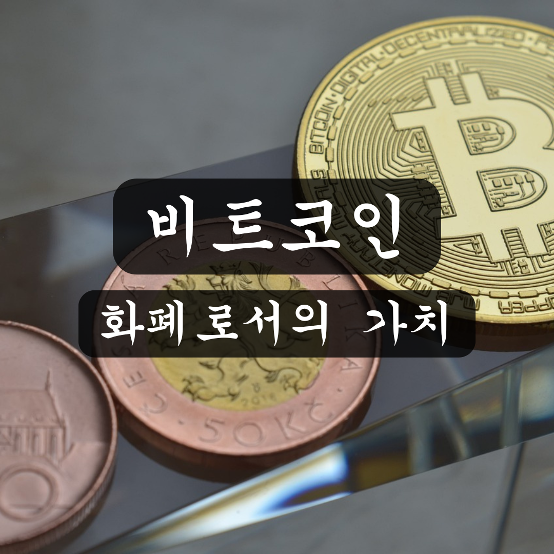 비트코인의 화폐로서의 가치