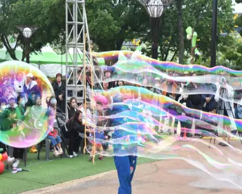 함평나비축제_6