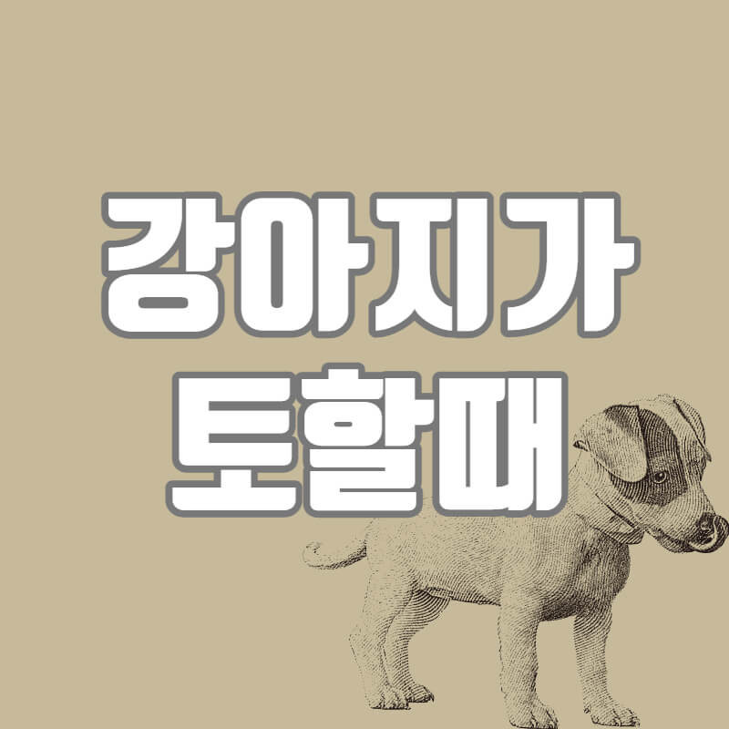 강아지구토원인
