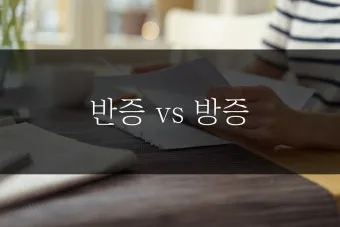 반증 방증 뜻 차이 맞춤법 한자_14