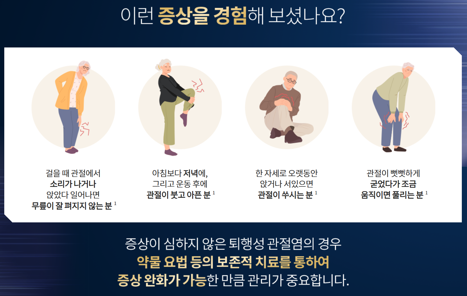 맥스콘드로이틴효능