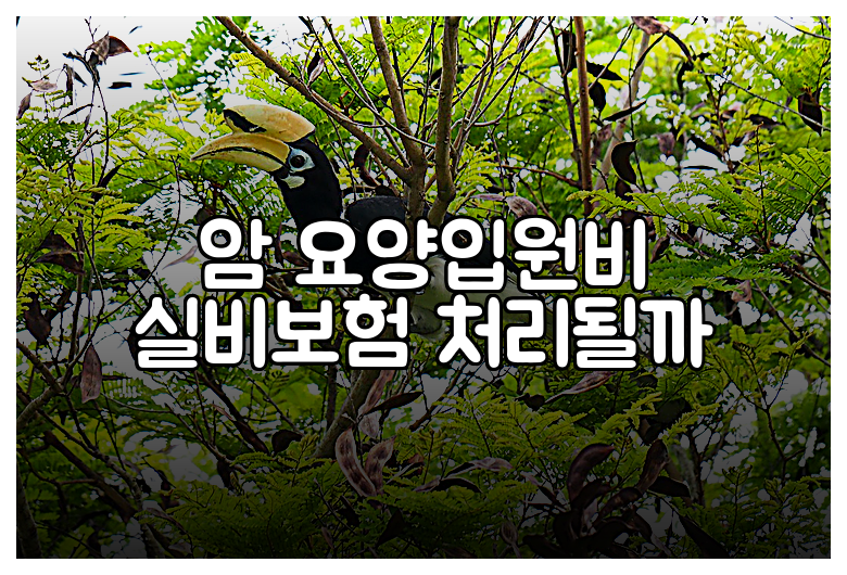 암 요양입원비 실비보험 처리될까