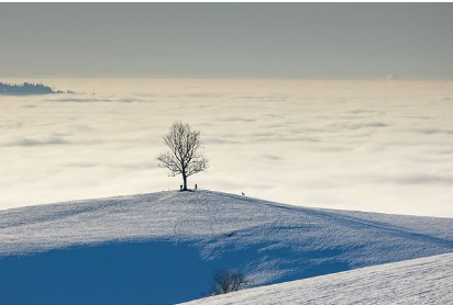 전입신고 방법 완벽정리: 온라인&amp;#44; 오프라인&amp;#44; 꼭 알아야 할 팁까지
