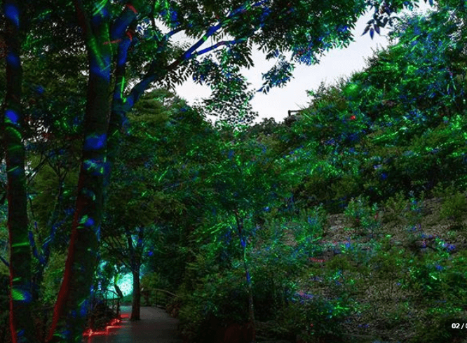 2025 화담숲 예약하기 모노레일 예약하기