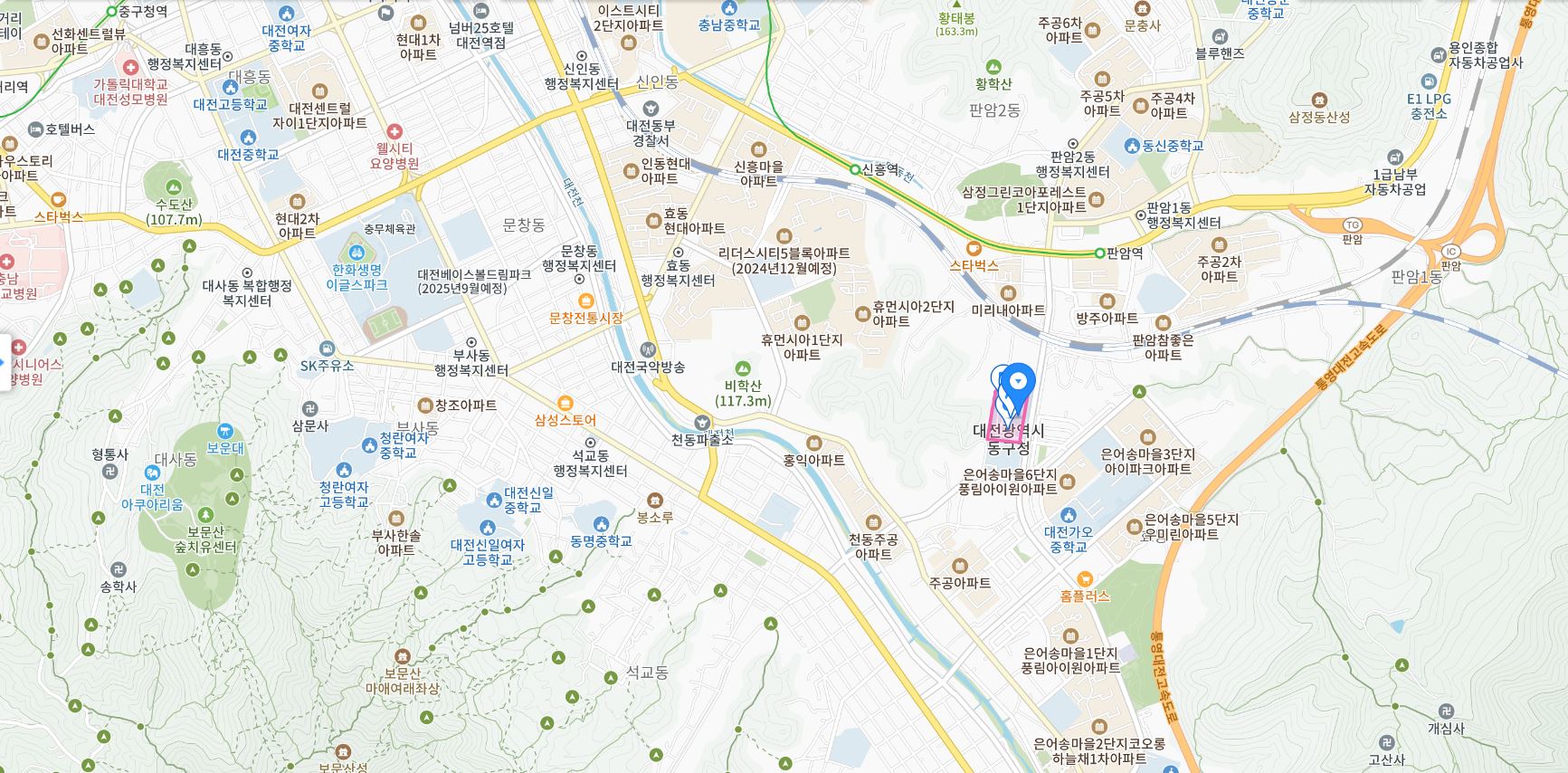 대전 동구청 여권