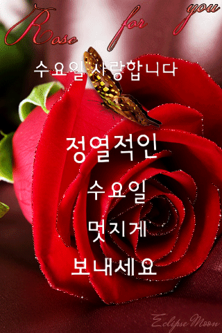 수요일 인사말 1