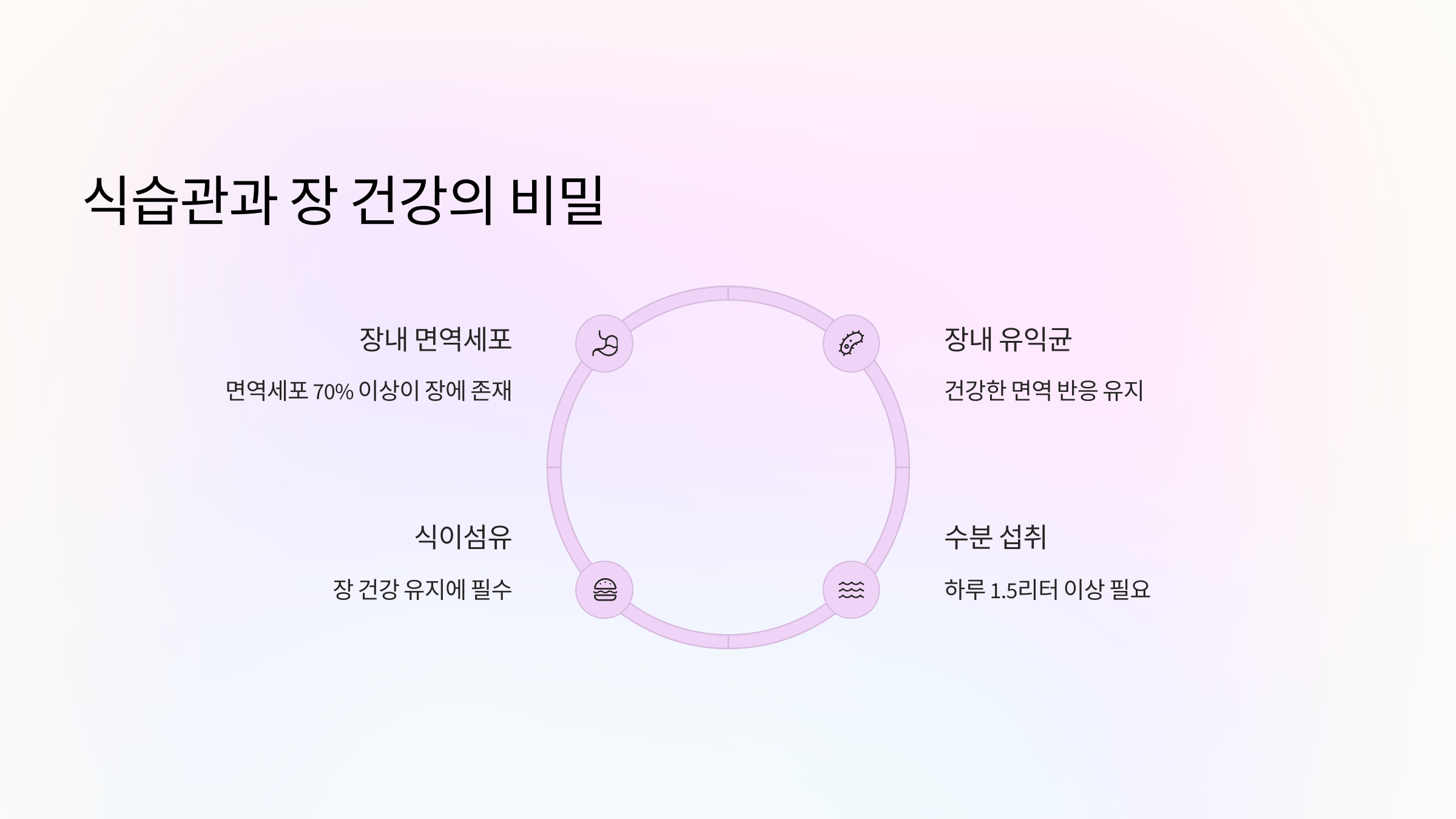 🍽️ 식습관과 장 건강의 비밀