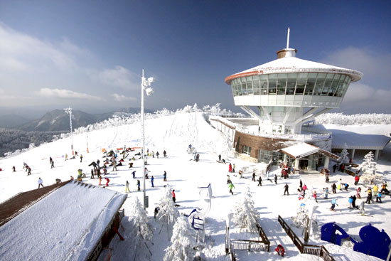 하이원 리조트 스키장