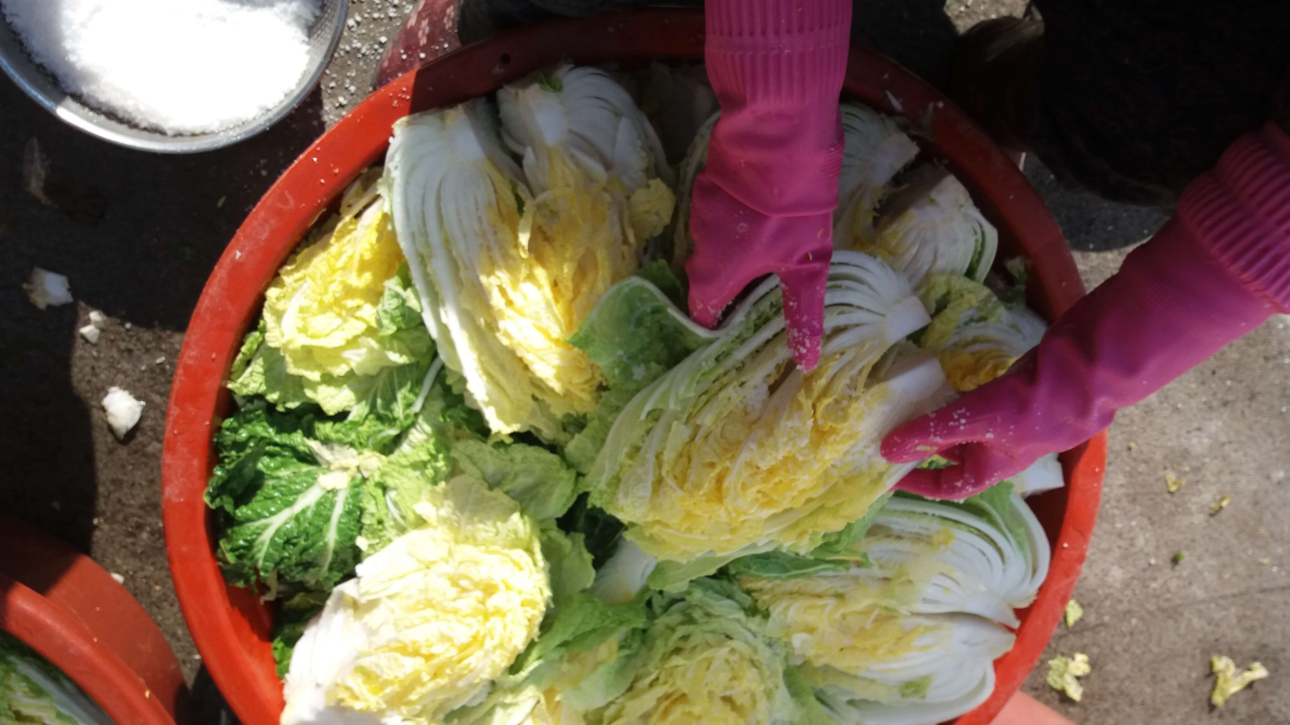 ๊น์ฅ์ฌ๋ฃ