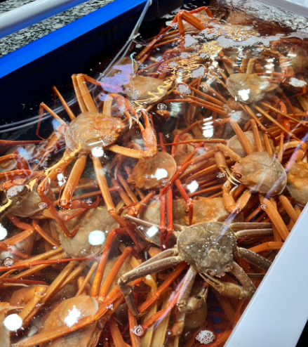 오늘N 대게풀코스요리 모둠회 주말N 강원도 속초 장군횟집