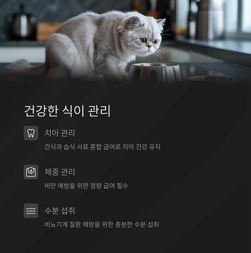 식이 관리와 건강 유지