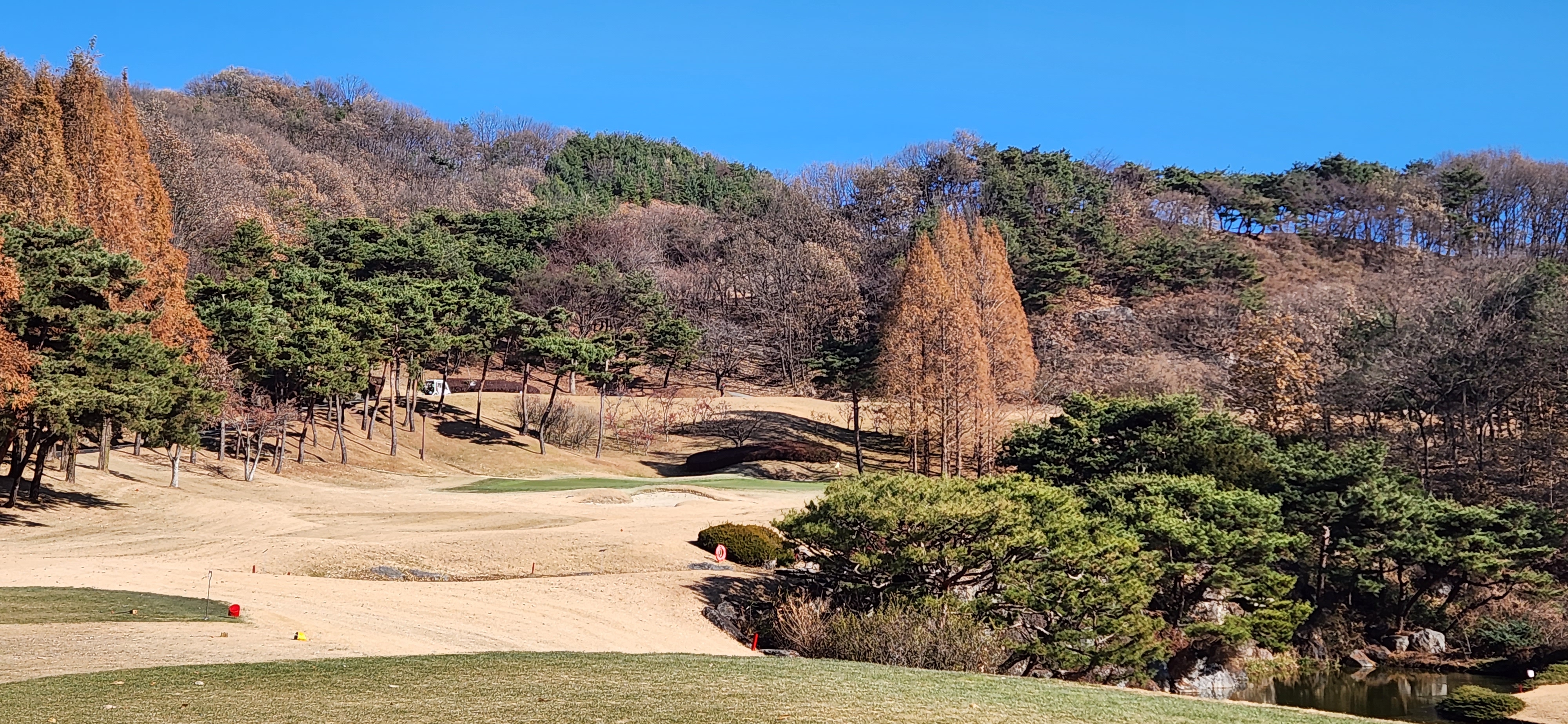 파인크리크