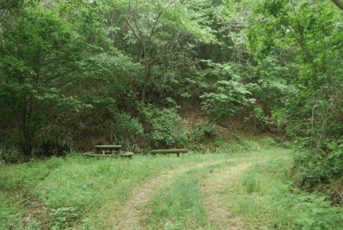 변산반도우금암23