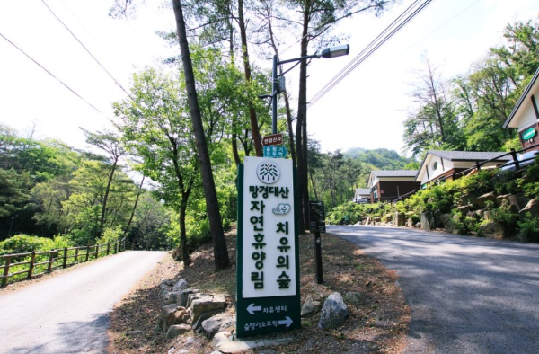 영월 망경대산치유의 숲