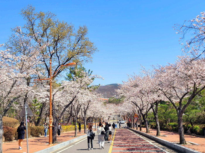 계명대학교 성서캠퍼스