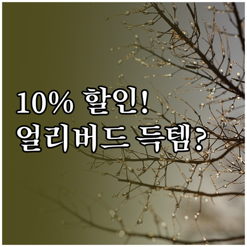 윈터타이어 얼리버드 구매로 10% 할..