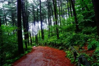 걷기좋은 숲길 50 서울 전남 경북_25