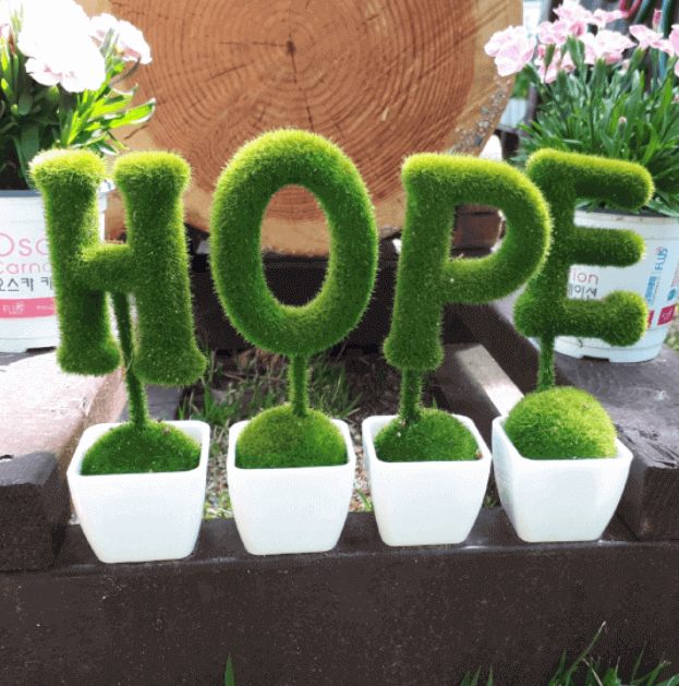 hope-라고써있는-화분-이미지
