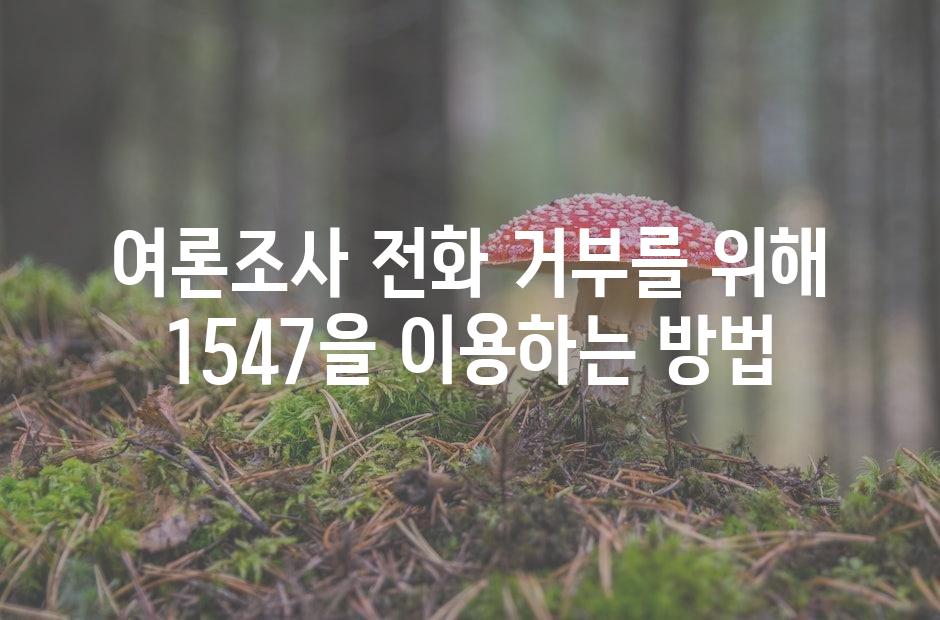 샘플 (42)