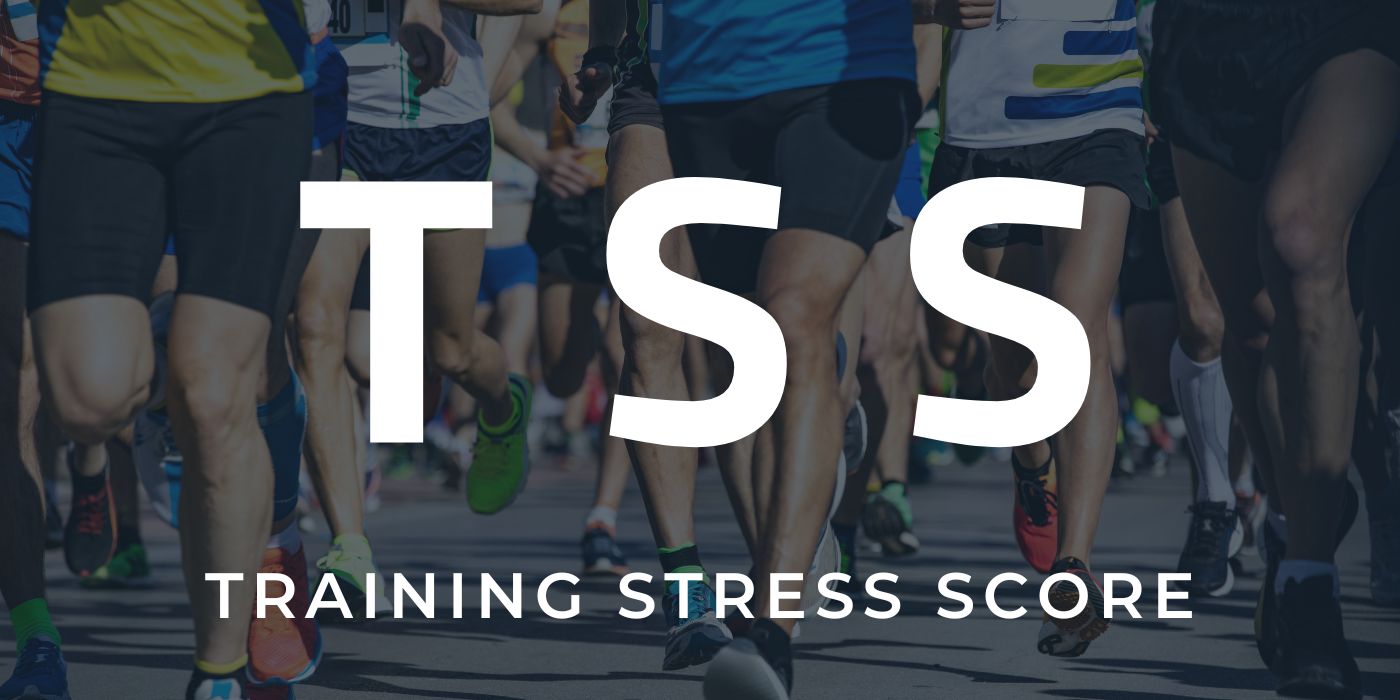 러너들을 위한 TSS 훈련부하 이해와 활용 8대2 법칙 트레이닝