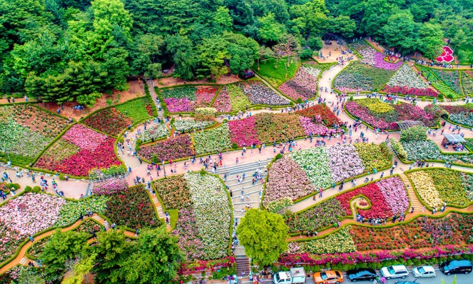 부천백만송이장미원