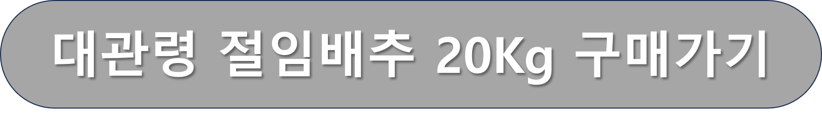 대관령 배추 구입