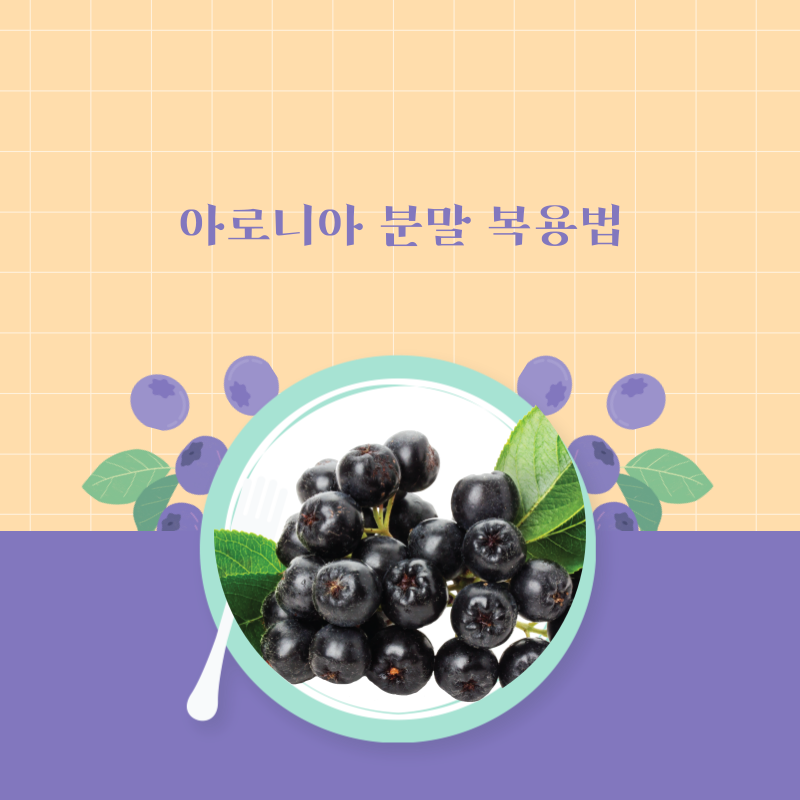 아로니아분말복용법