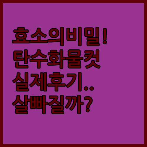 다이어트 효소 탄수화물 분해 원리와 ..