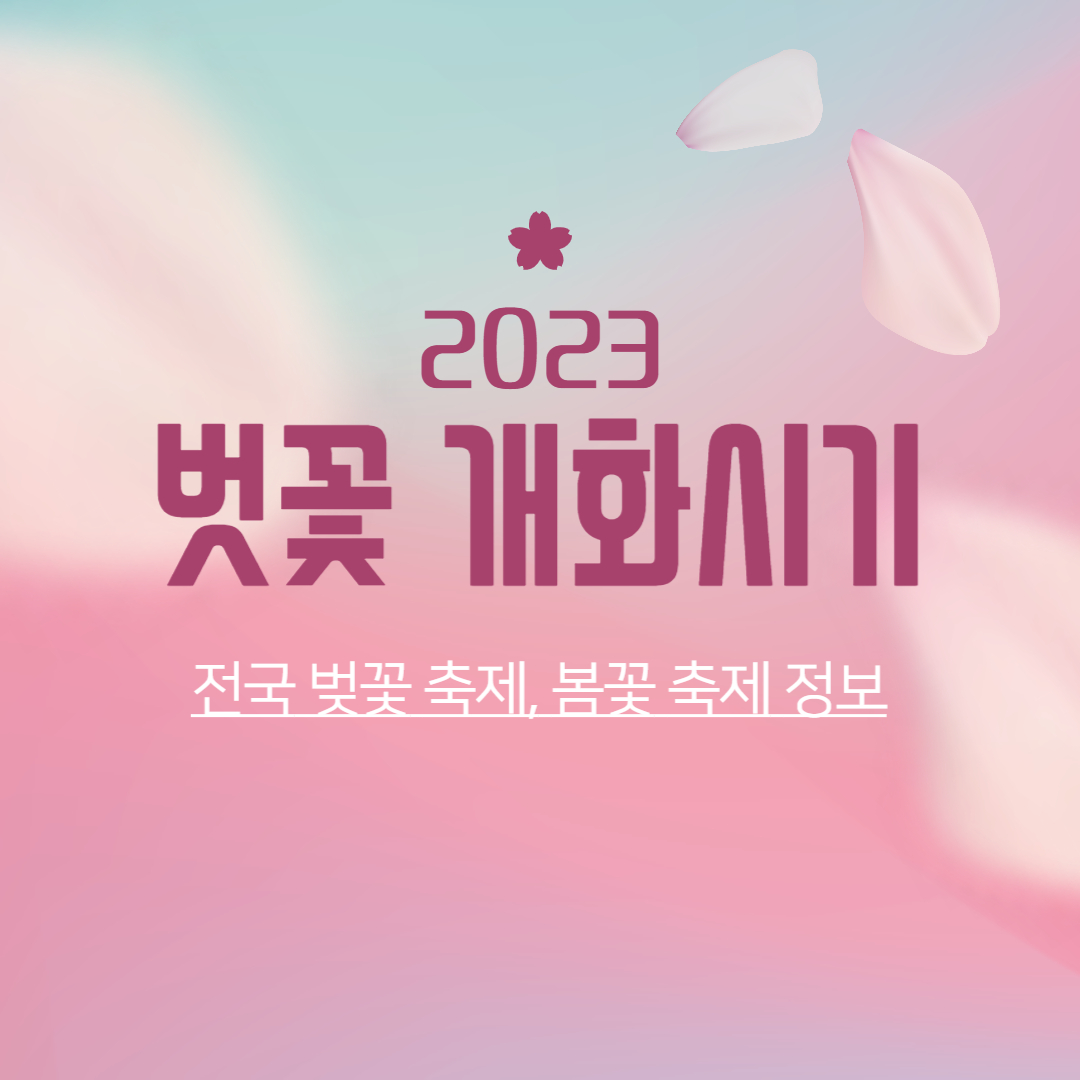 2023 벚꽃 개화시기