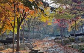 경북 가을 산행지 추천