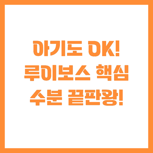 임산부 아기도 안심 루이보스 미네랄 ..