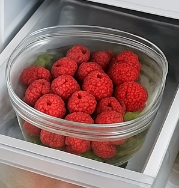 꾸지뽕 효능