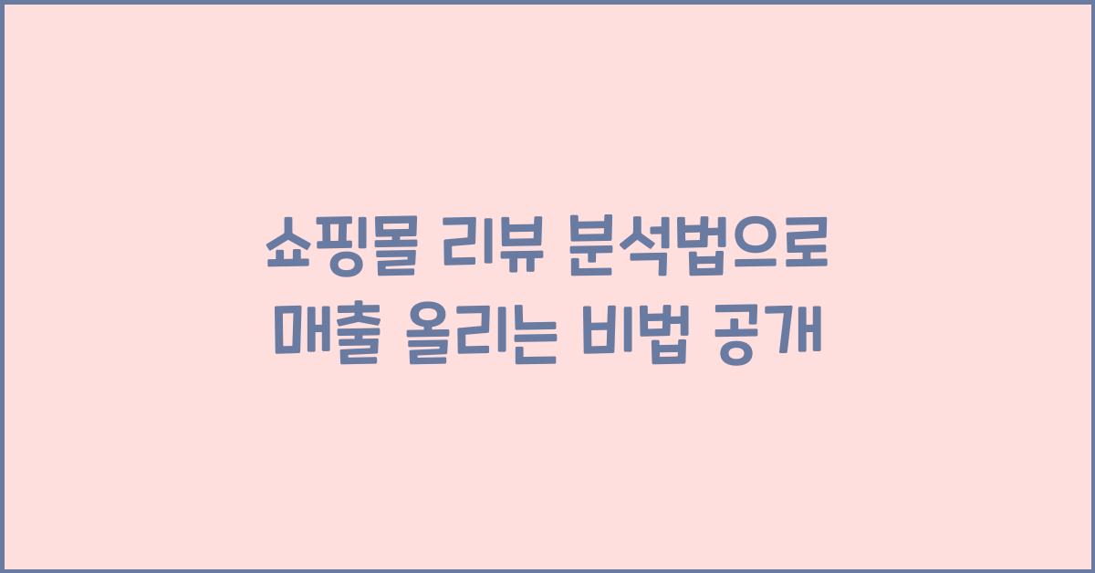 쇼핑몰 리뷰 분석법