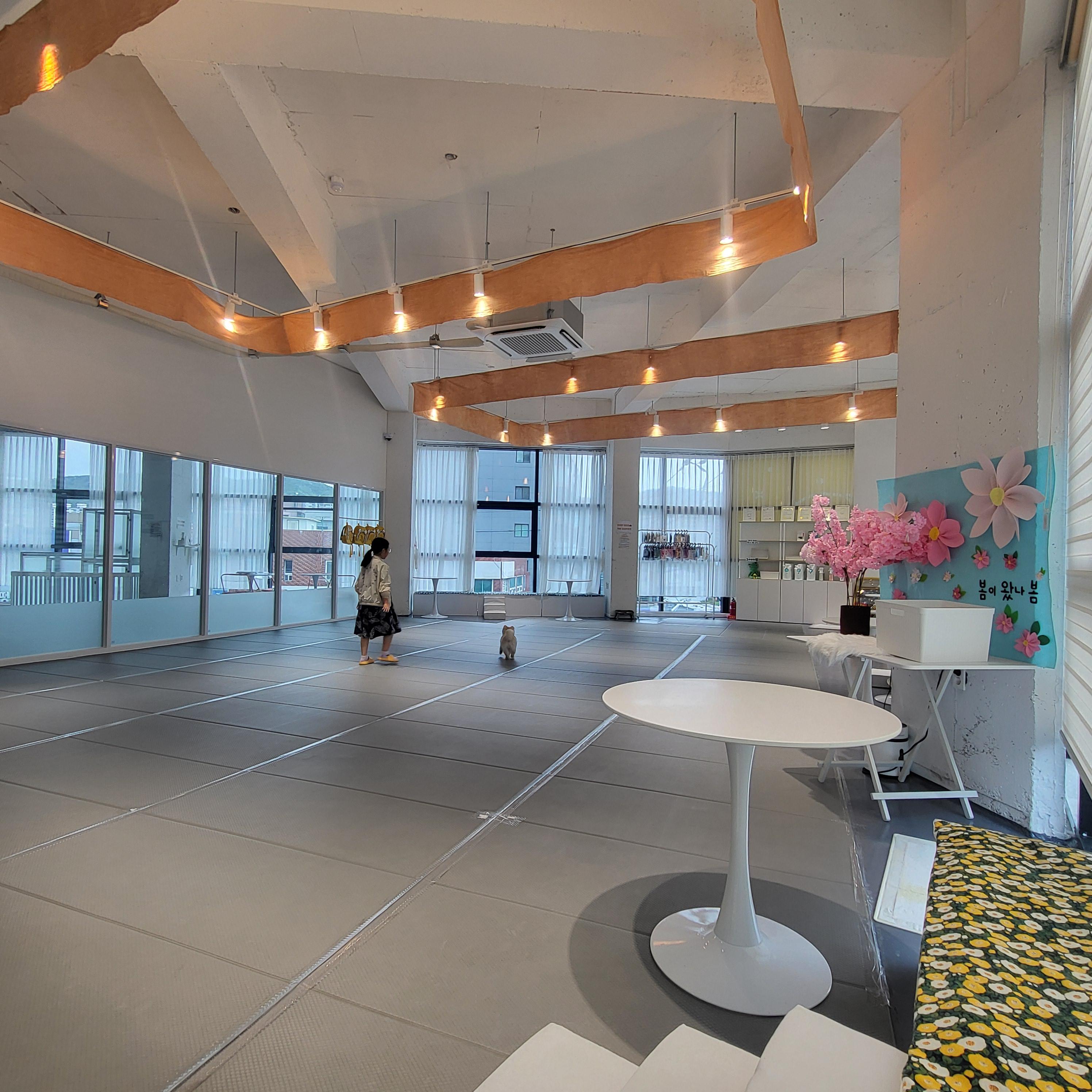 울산 애견 카페(딩동댕 애견카페)