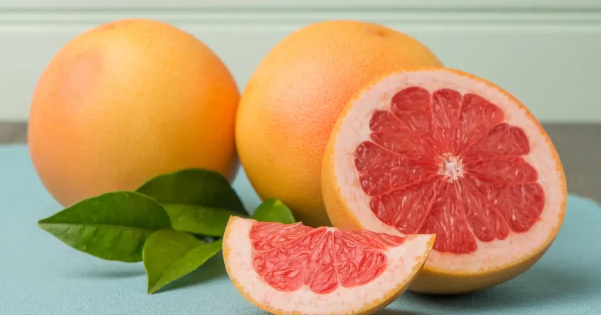 자몽 효능 부작용 칼로리_3