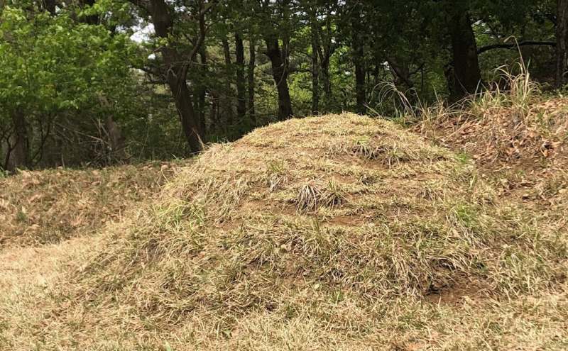 잔디 심은 산소