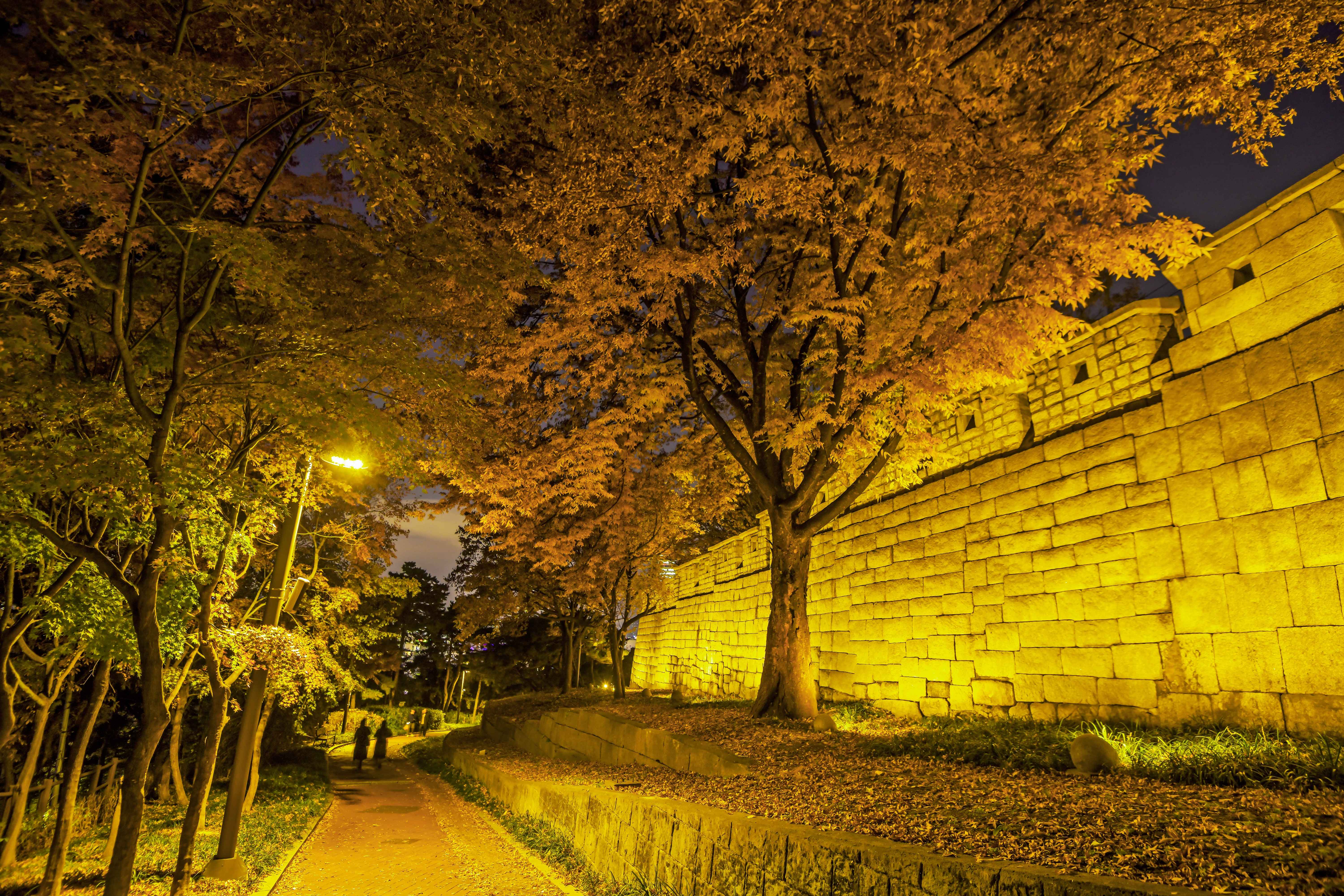 서울 한양도성길 야경