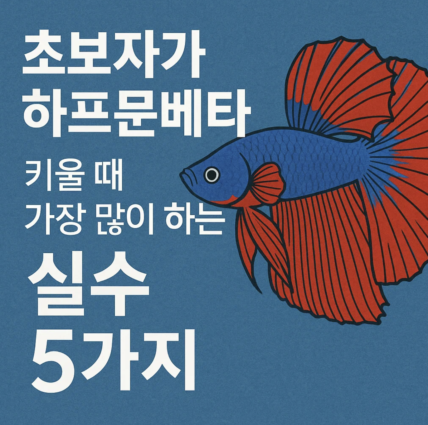 초보자가 하프문베타 키울 때 가장 많이 하는 실수 5가지