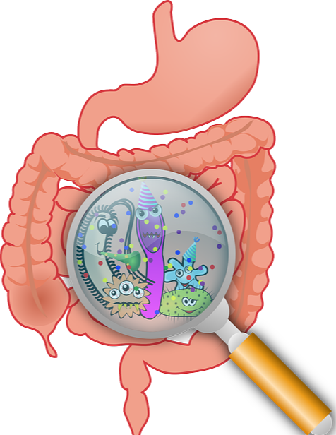 장누수 증후군 관련 이미지