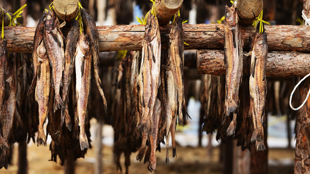 황태 vs 생태 영양 비교 사진