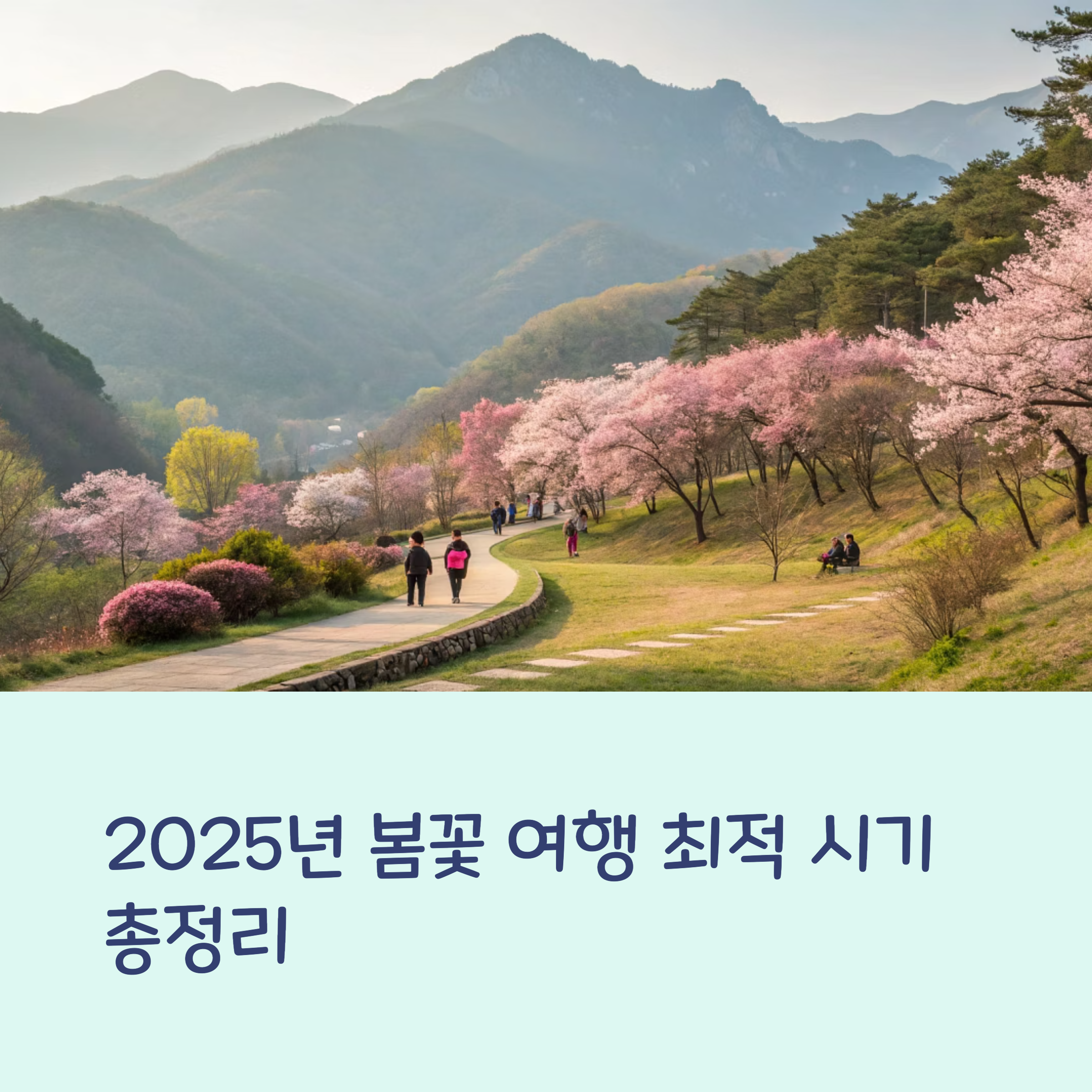 주말 기준으로 보는 4~5월 꽃구경 최적일자: 2025년 봄꽃 여행 완벽 가이드
