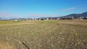 농지연금 수령액 계산 방법