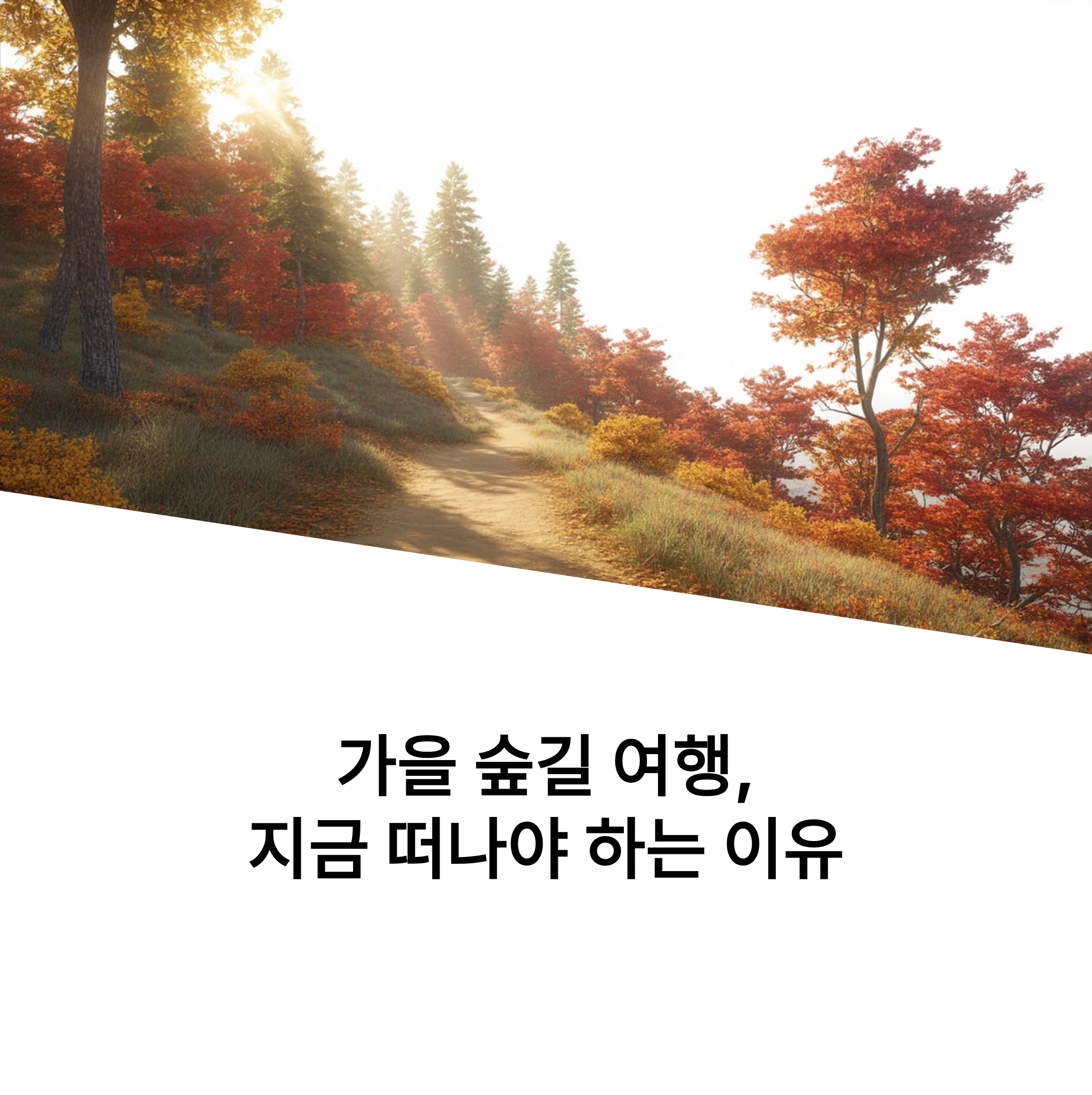 가을 숲길 여행