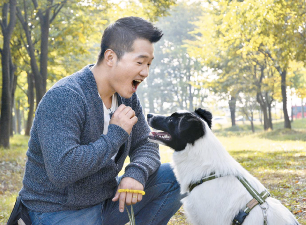 강형욱 훈련법